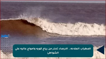 اضطراب الملاحة.. الأرصاد تحذر من رياح قوية وأمواج عالية على الشواطئ